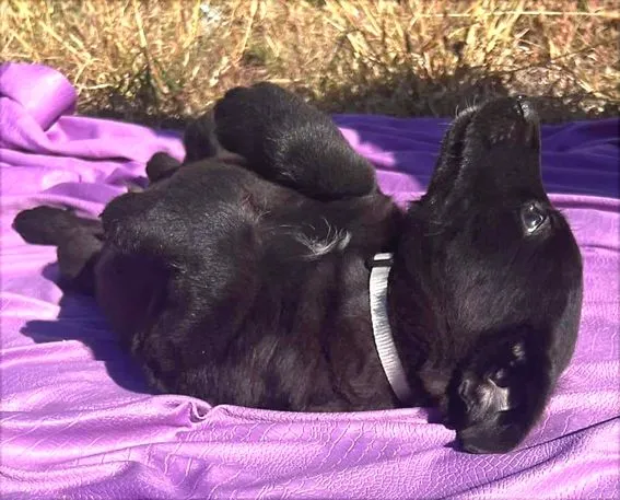 Bacio001-9f66b31b-1920w