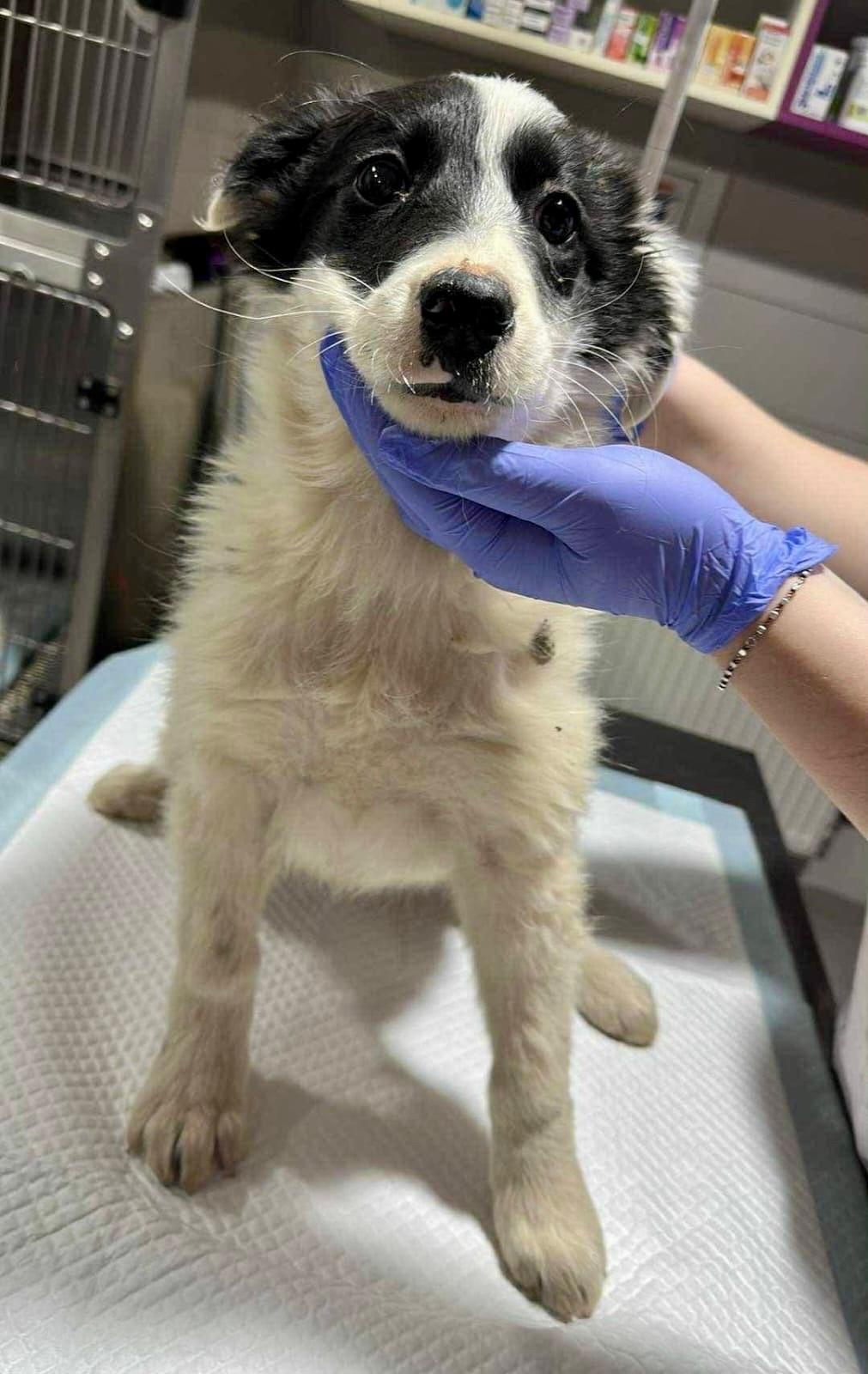 WhatsApp Image 2026-01-10 at 13.13.02 (1)