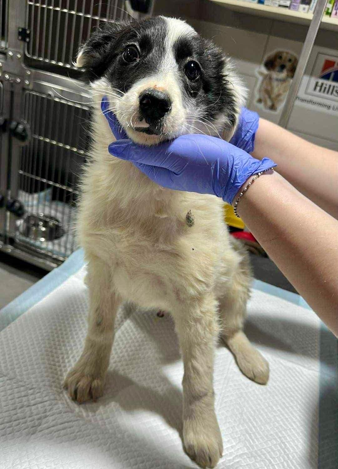 WhatsApp Image 2026-01-10 at 13.13.02 (2)