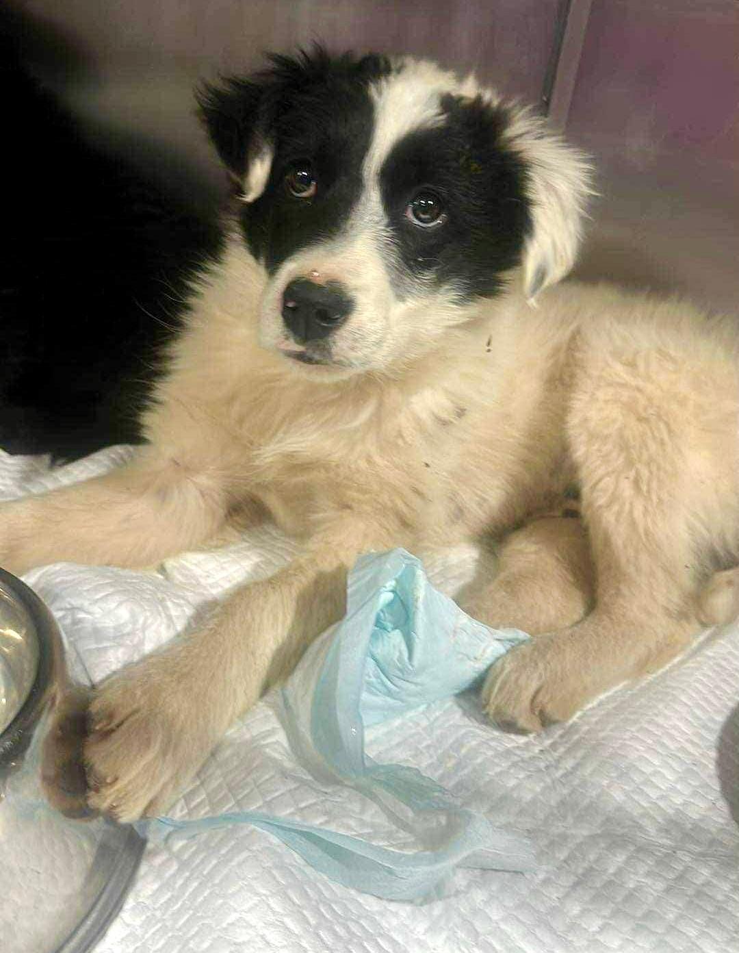 WhatsApp Image 2026-01-10 at 13.13.02