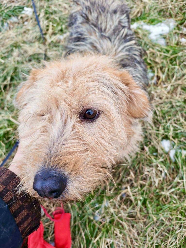 WhatsApp Image 2026-03-12 at 12.55.58 (1)