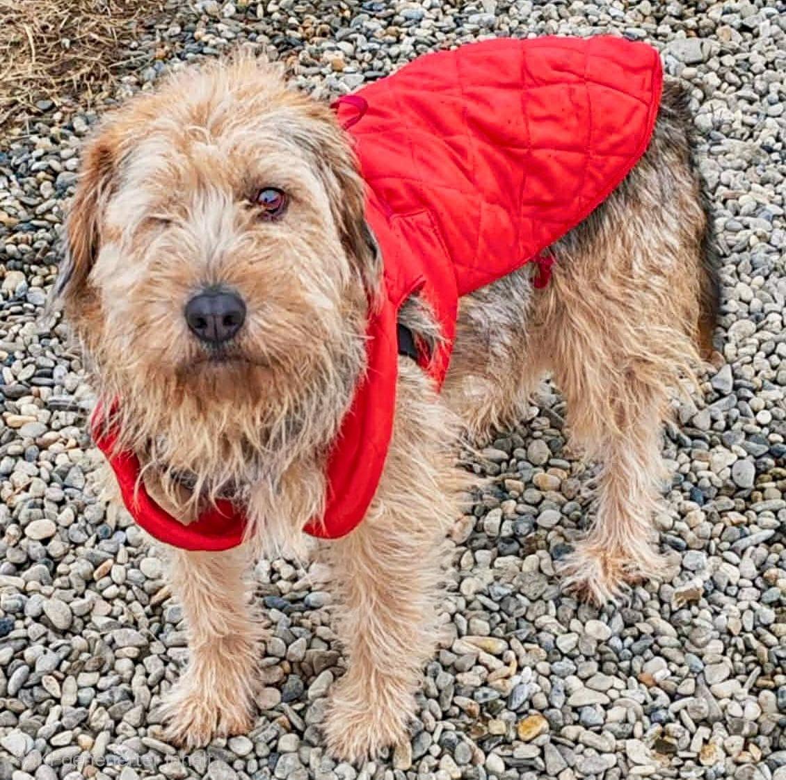 WhatsApp Image 2026-03-12 at 12.55.58