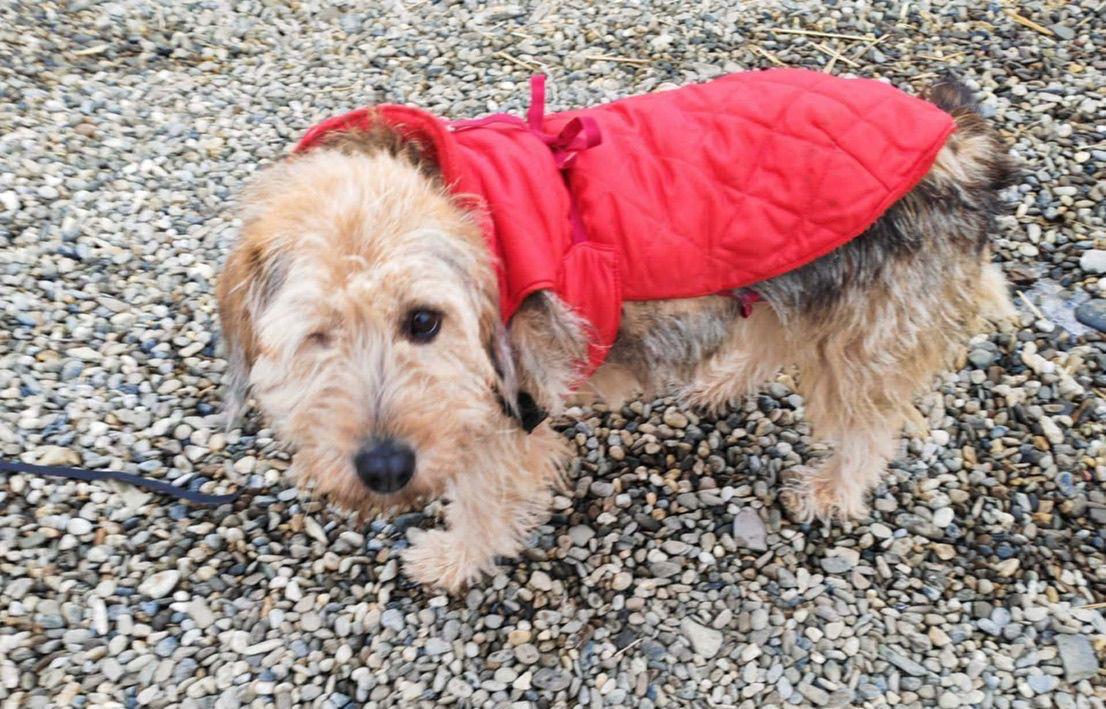 WhatsApp Image 2026-03-12 at 12.55.59 (1)