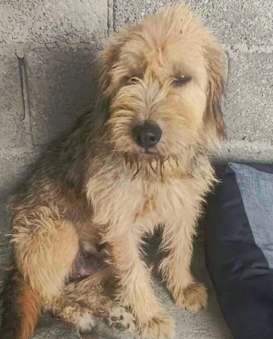 WhatsApp Image 2026-03-12 at 12.55.59 (3)