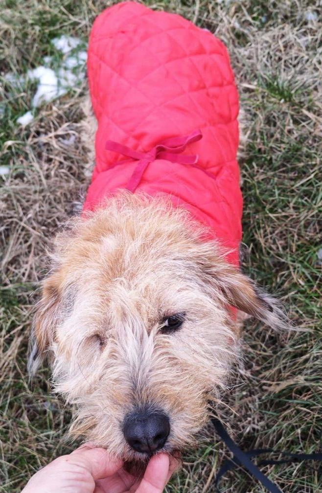 WhatsApp Image 2026-03-12 at 12.55.59