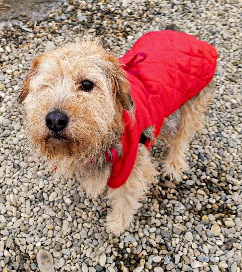 WhatsApp Image 2026-03-12 at 12.58.22