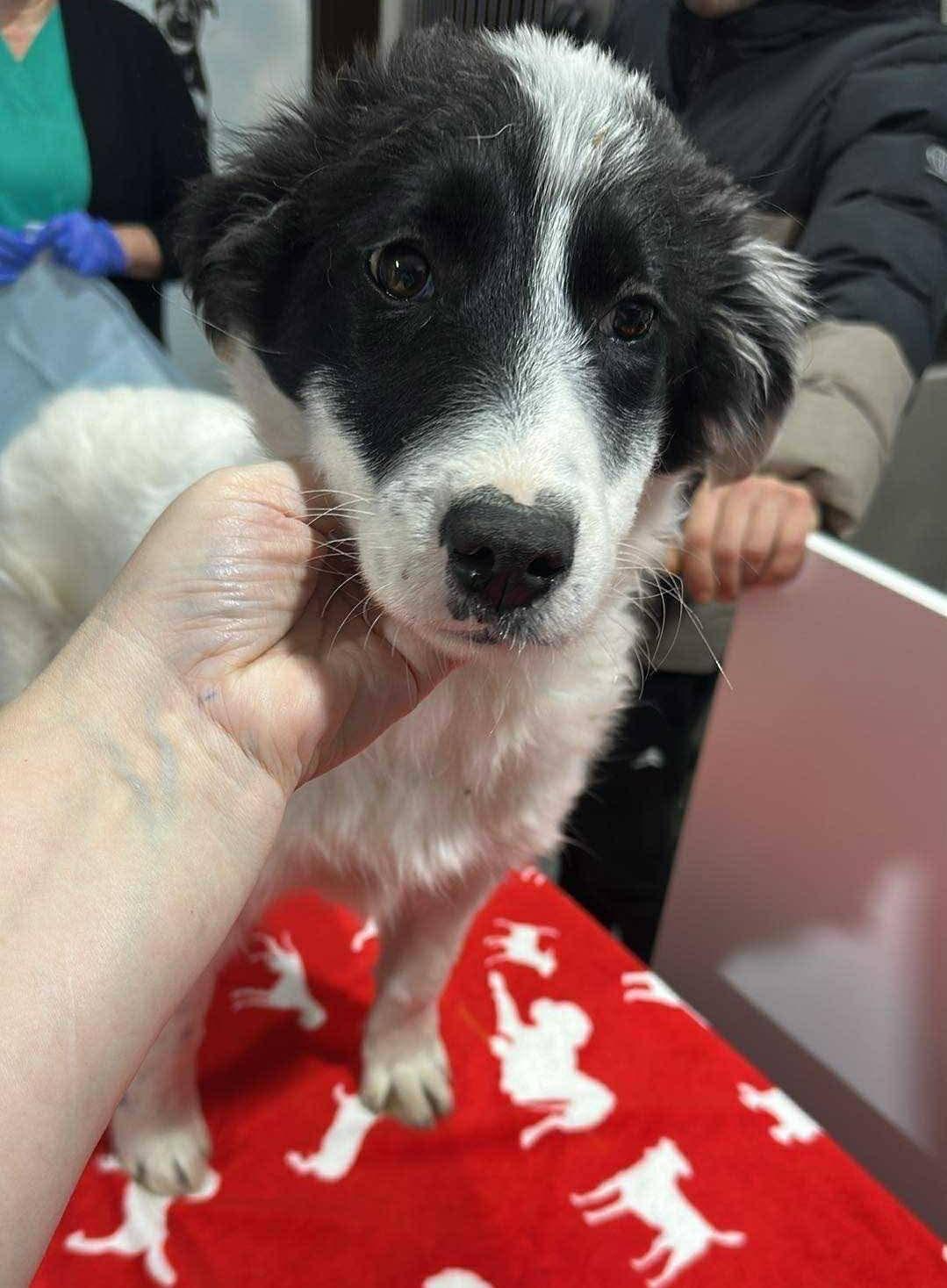 WhatsApp Image 2026-03-15 at 16.15.57 (1)