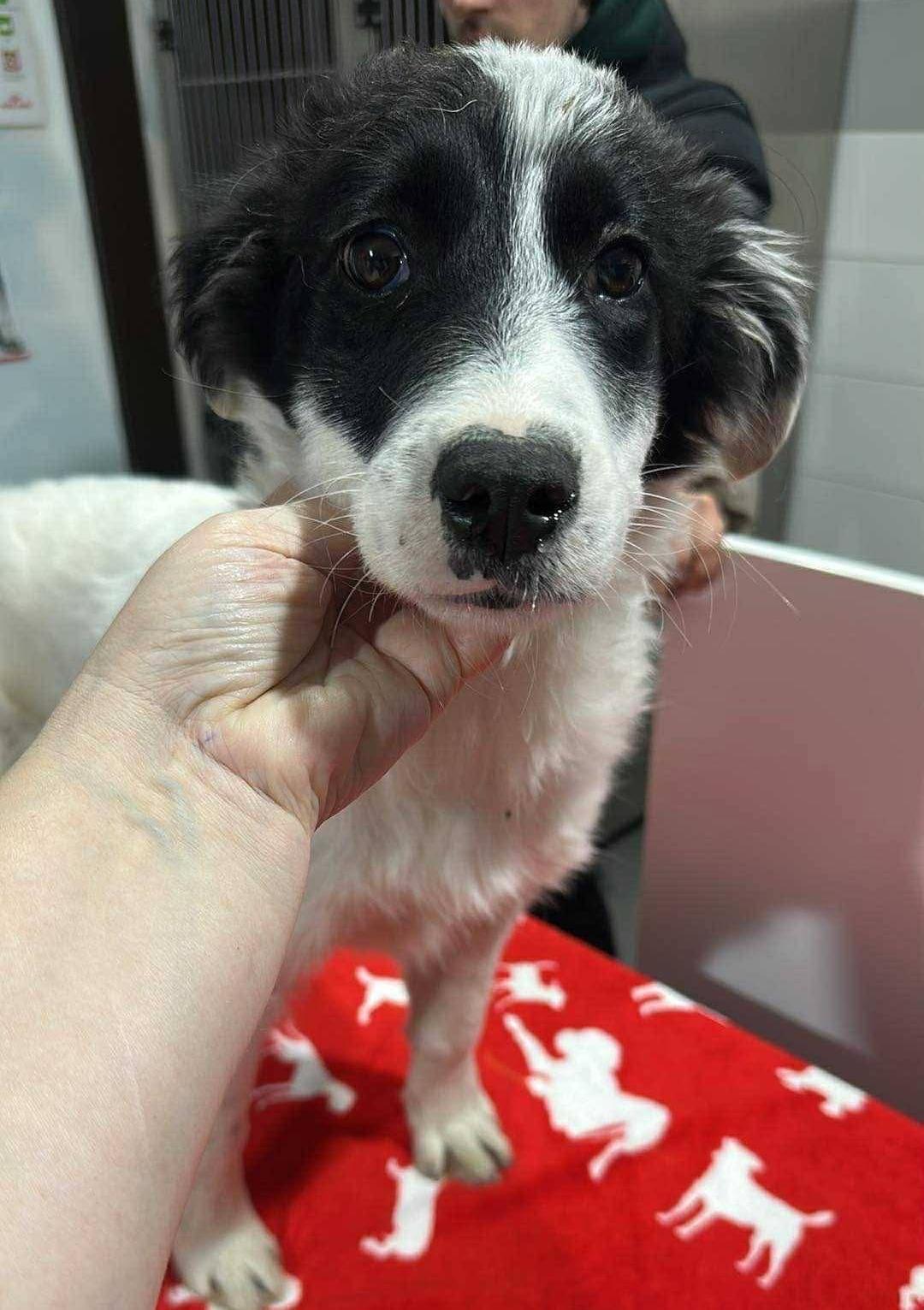 WhatsApp Image 2026-03-15 at 16.15.57