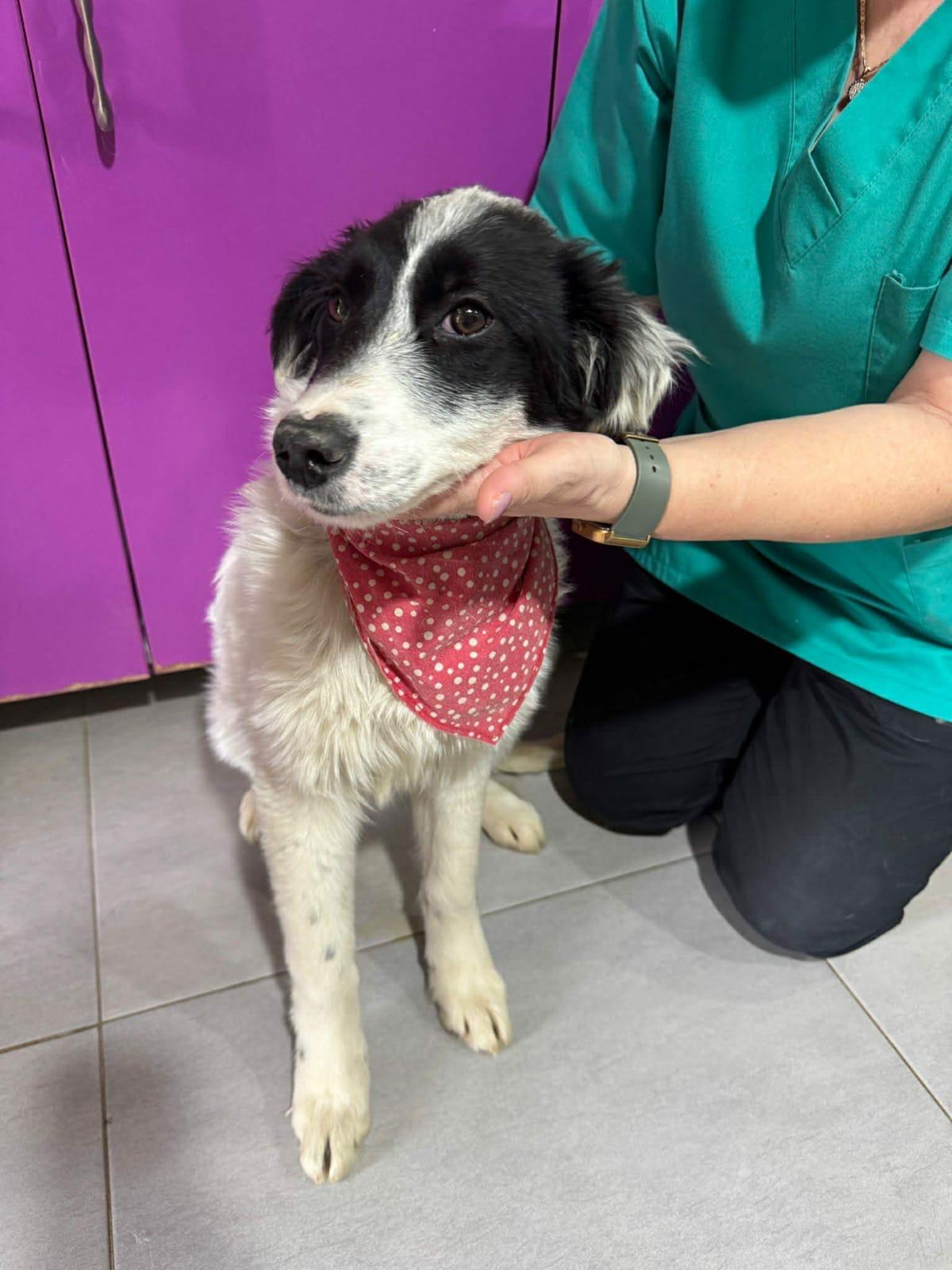 WhatsApp Image 2026-03-15 at 16.15.58 (1)