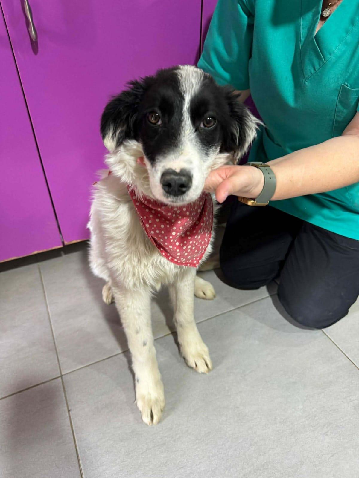 WhatsApp Image 2026-03-15 at 16.15.58 (2)