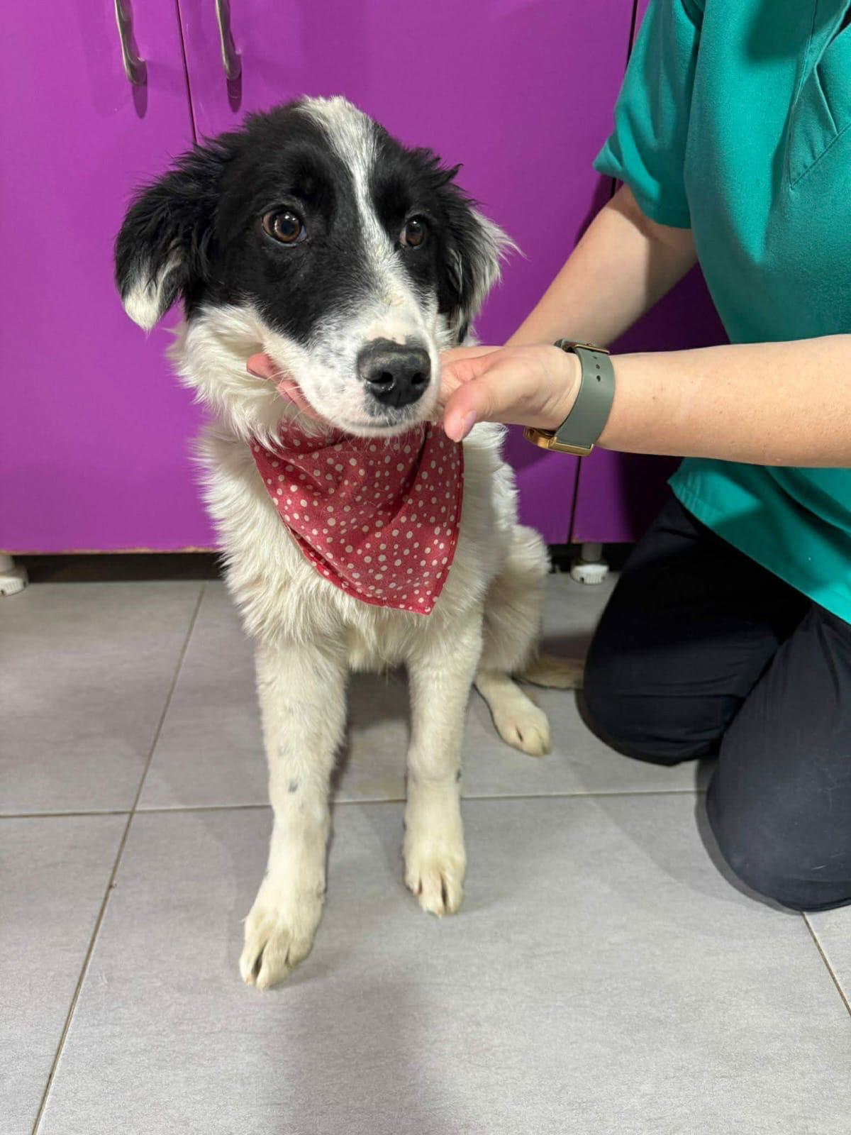 WhatsApp Image 2026-03-15 at 16.15.58