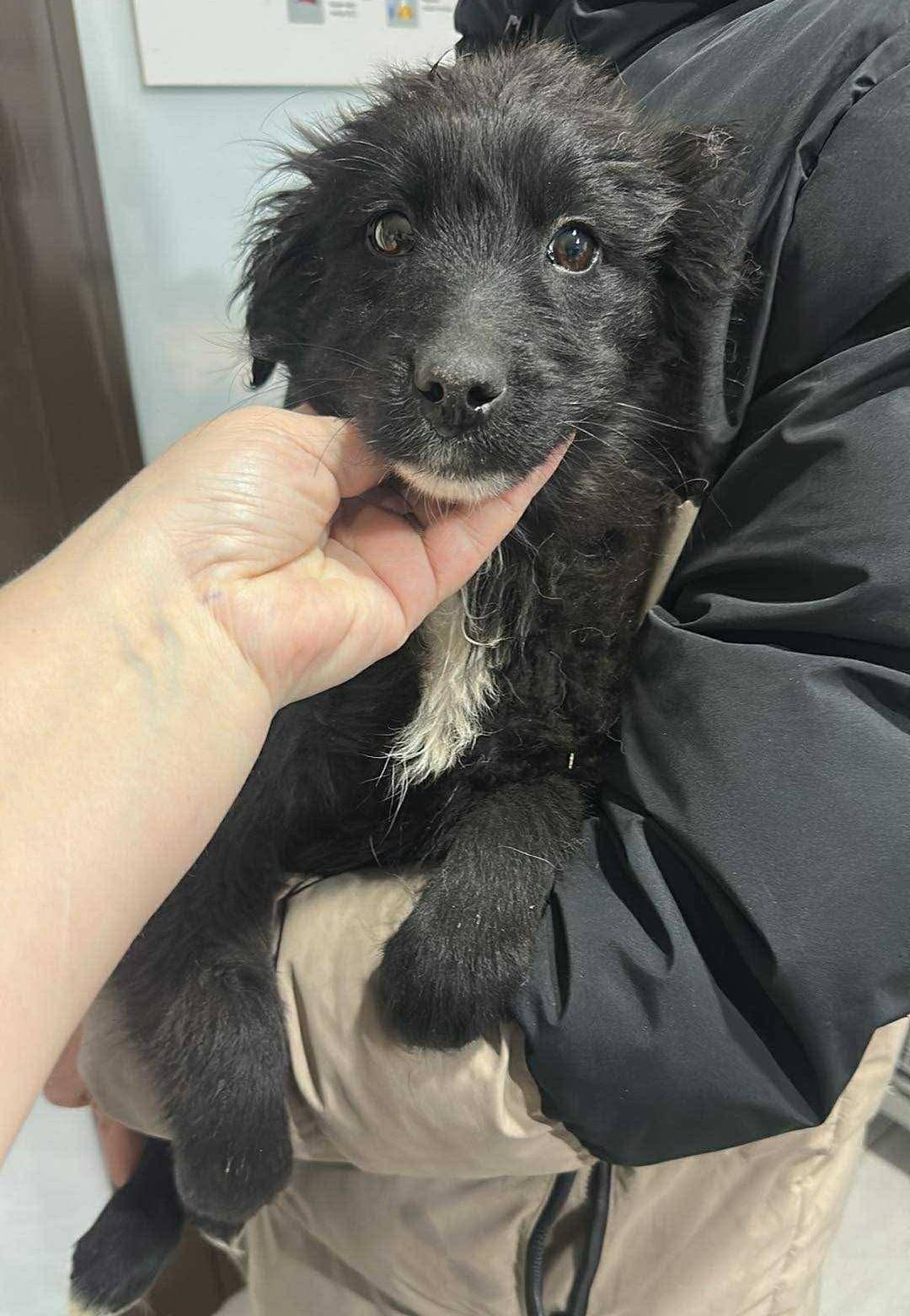 WhatsApp Image 2026-03-15 at 17.16.22