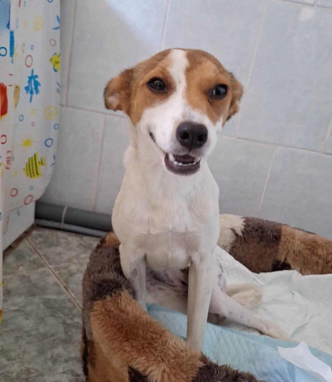 WhatsApp Image 2026-03-16 at 11.42.50