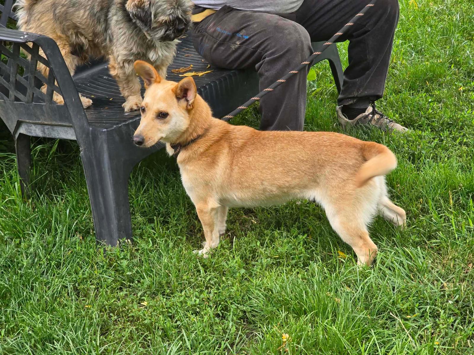 WhatsApp Image 2026-06-30 at 11.50.12 (1)